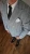 5.webp