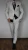 7.webp