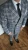 FERAUD (1).webp