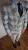 5.webp